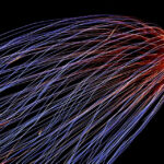 Could Your Business Lose All Its Data?
